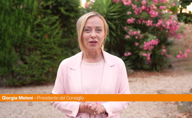 Meloni 