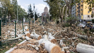 Stato d'allerta costante: psichiatri preoccupati per gli effetti del meteo