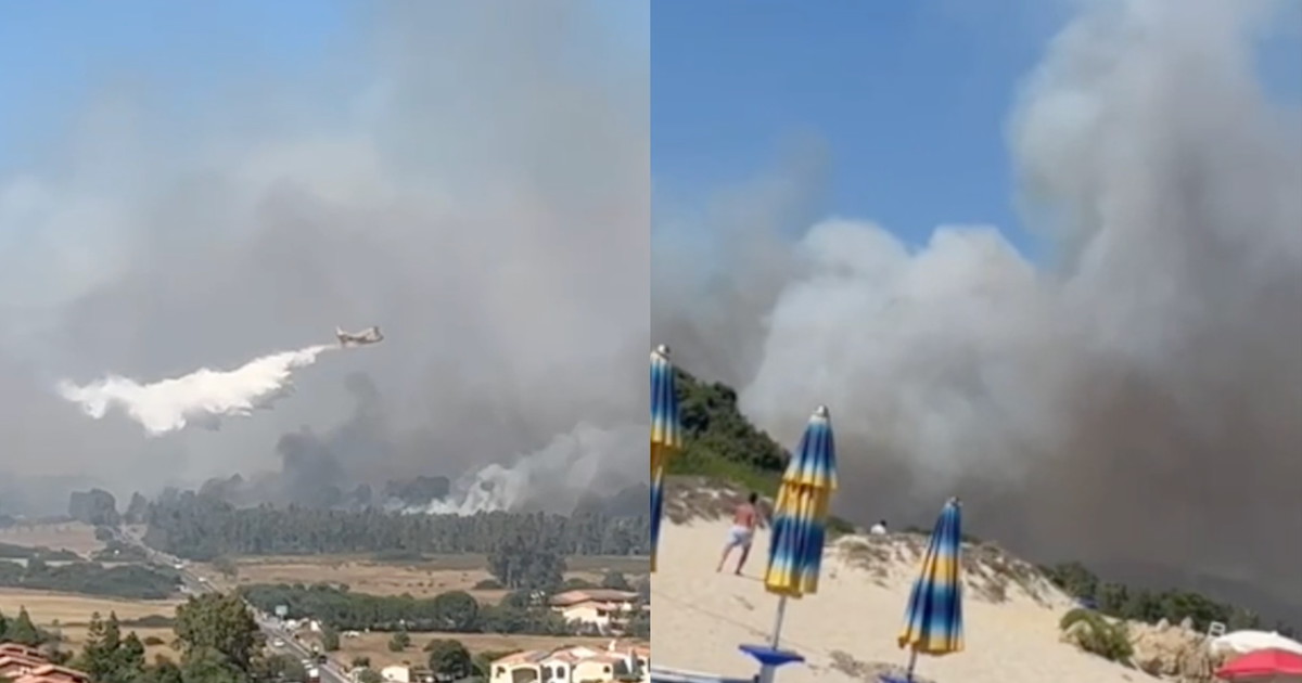 Calonge Incendi Sud Sardegna in fiamme, paura a Muravera: incendio devastante – Il Tempo