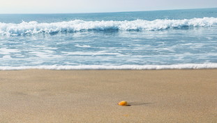 “Netto rialzo delle temperature”. Caldo estremo a settembre? Cosa sa Giuliacci