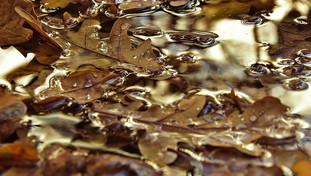 Arrivano le piogge autunnali? Giuliacci e la fine dell'anticiclone che porta il caldo