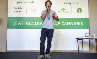 Il pesto come la cannabis: l'uscita della sardina finisce malissimo