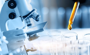 Università di Perugia e IRCCS San Raffaele, su Nature studio sul nuovo ruolo dell'amminoacido triptofano