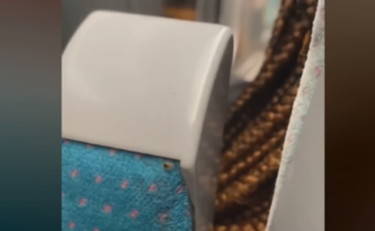 Olimpiadi a rischio? L'invasione di cimici da letto allarma il governo