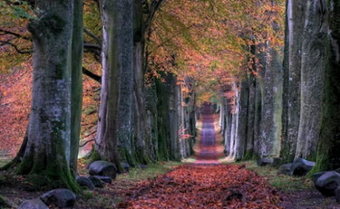 Quando arriva il freddo? Giuliacci: Calo termico ma...