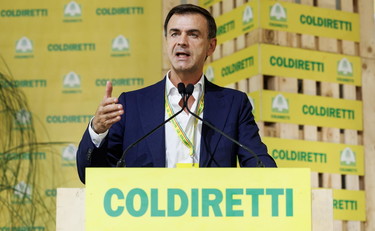 La battaglia si sposta in Europa. Carne sintetica, la sfida di Prandini