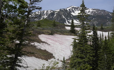 Meteo, cambia tutto. Giuliacci: Che inverno ci aspetta