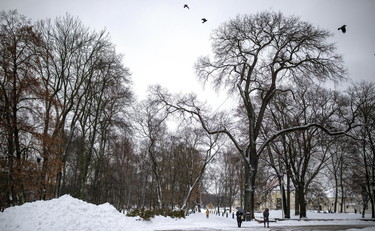 Dove arriva la neve in pianura. Giuliacci ci lascia a bocca aperta