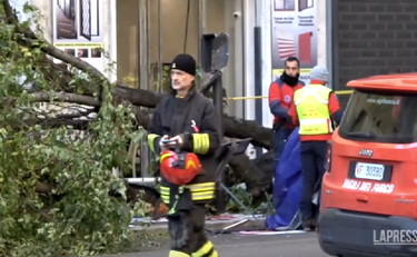 Alberi killer, la rabbia dei romani contro Gualtieri: 