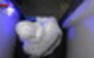 Una 13enne stuprata a Villa Bellini a Catania, fermati 7 stranieri