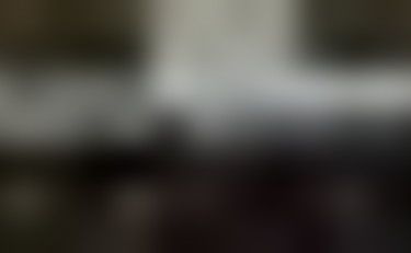 Greta Thunberg in Francia contro un progetto di autostrada