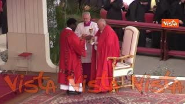 Domenica delle Palme, la messa in piazza San Pietro con Papa Francesco ...