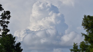 “Effetti devastanti”. C'è la fine di El Niño: come verrà sconvolto il clima globale