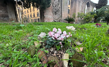 Porta Maggiore si sgretola. Cittadini raccolgono i pezzi e creano aiuole