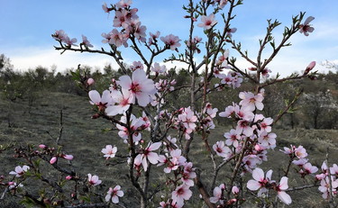 Marzo inizia con sole e tempo stabile. Ma c'è una data per il peggioramento