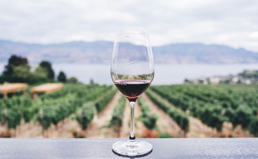 Vini naturali, biologici e biodinamici: quali sono le differenze