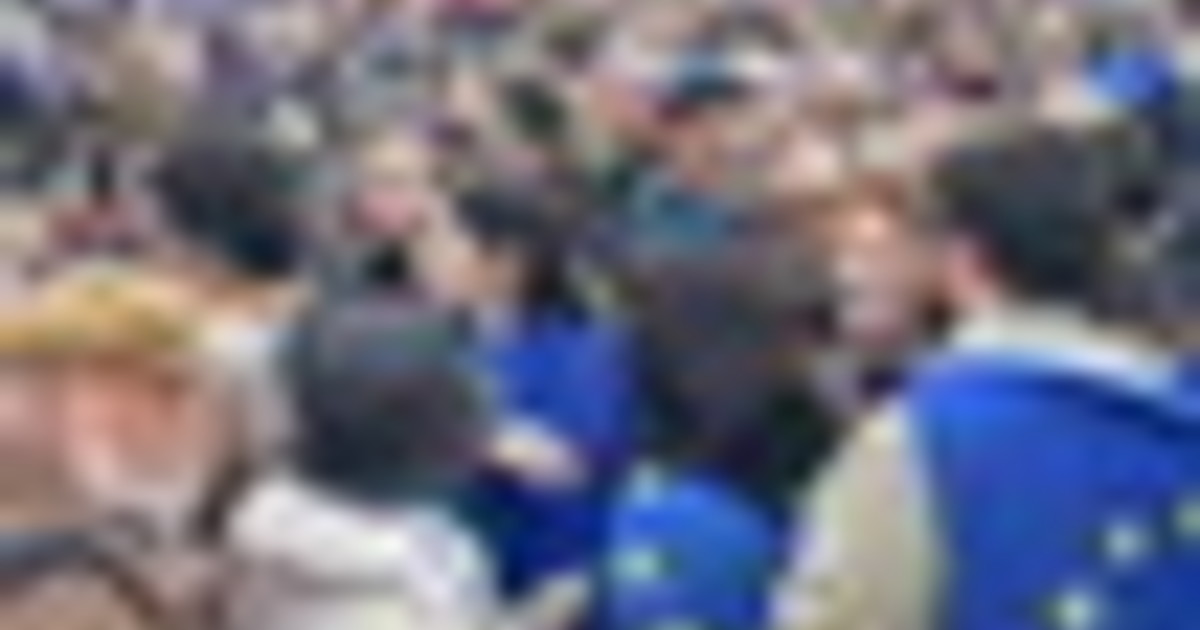 Ue, Schlein alla manifestazione pro-Europa: 