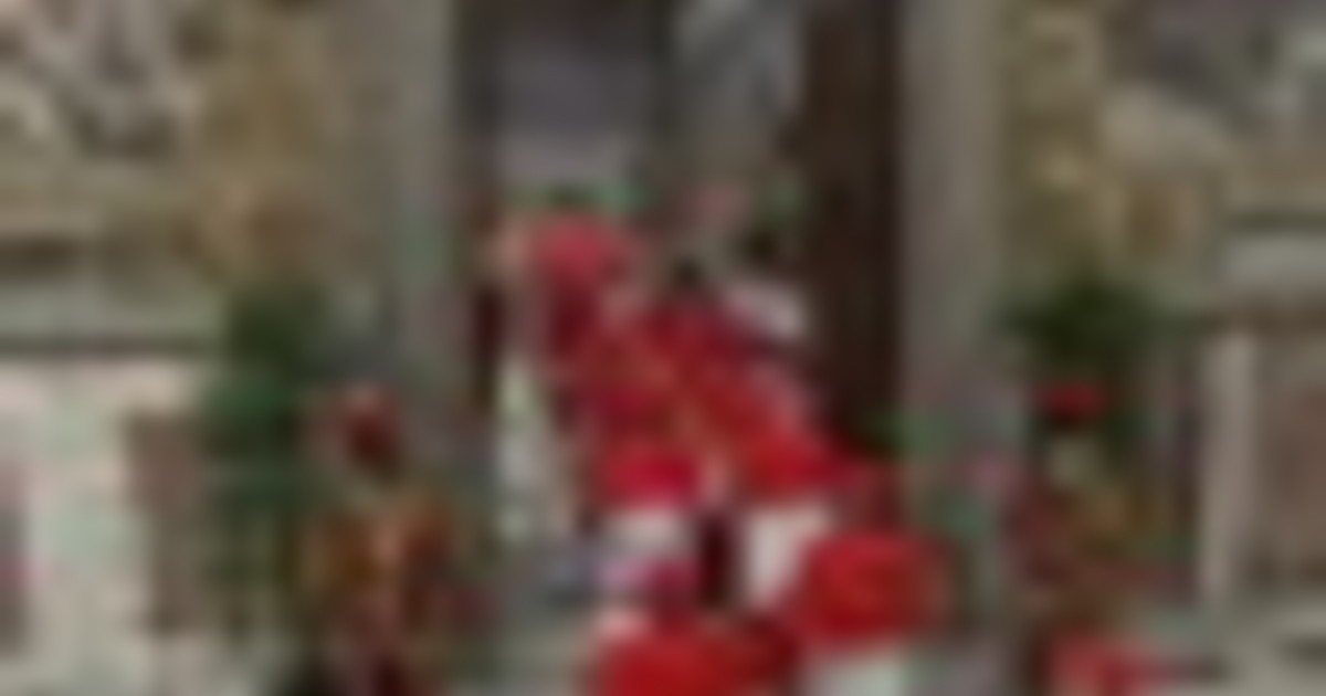 Cardinali e papabili: chi c'è in pole position per il soglio di Pietro