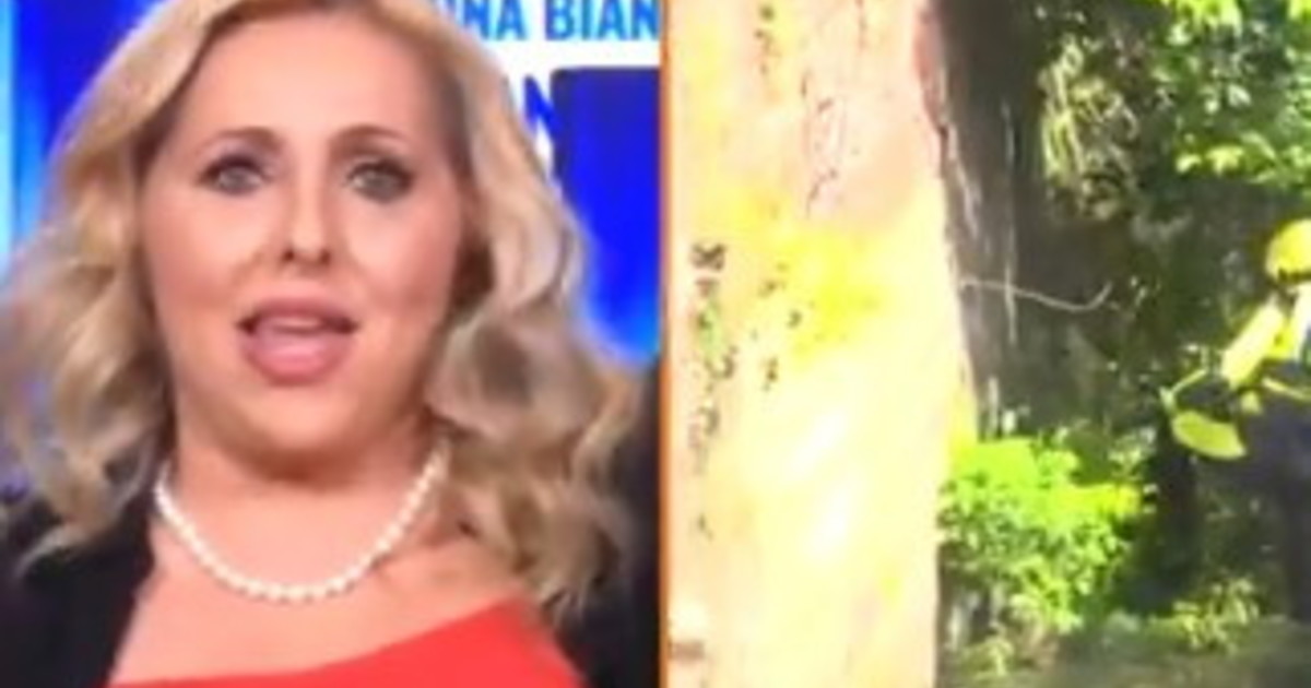 Stasi domani in procura. Cavallaro: Non ci sono sue tracce sulla scena del crimine