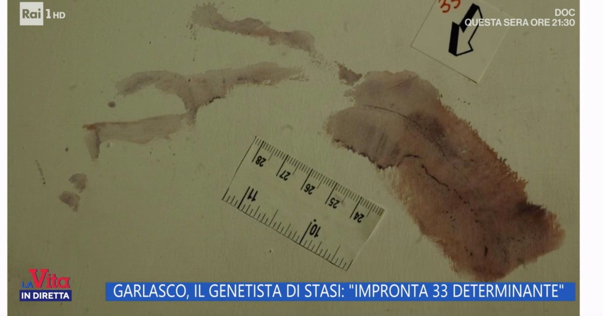 La svolta dall'impronta 33? Il genetista di Stasi: Si è sporto in avanti