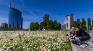 Come sarà il ponte del 2 giugno. Meteo: cosa succede nel weekend