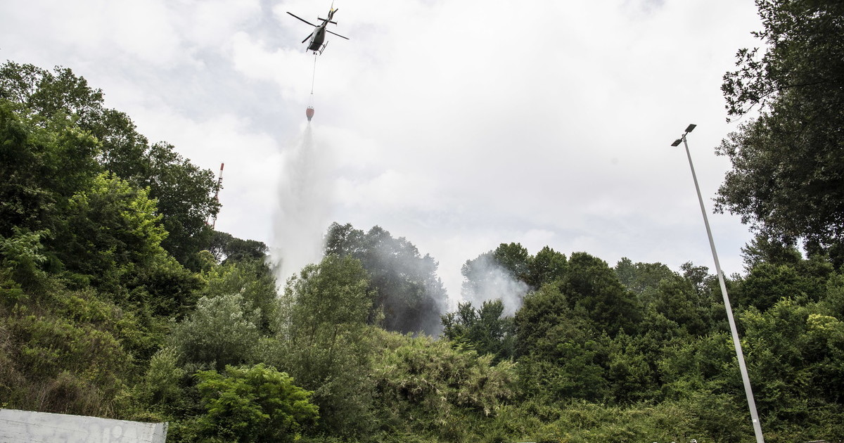 Incendio Monte Mario, Roma Natura punta il dito sulle baraccopoli. Stesse cause del 2024