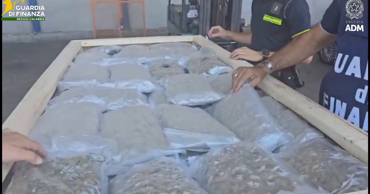 Nel porto di Gioia Tauro sequestrati 1.220 kg di marijuana
