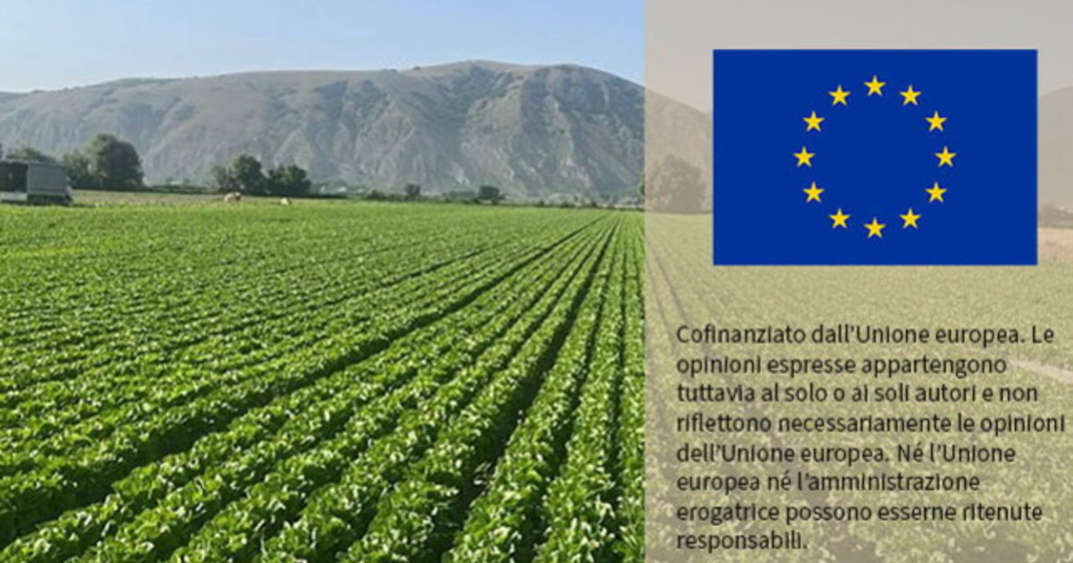 Alla Pac risorse da 302 miliardi fino al 2034, in calo del 20%