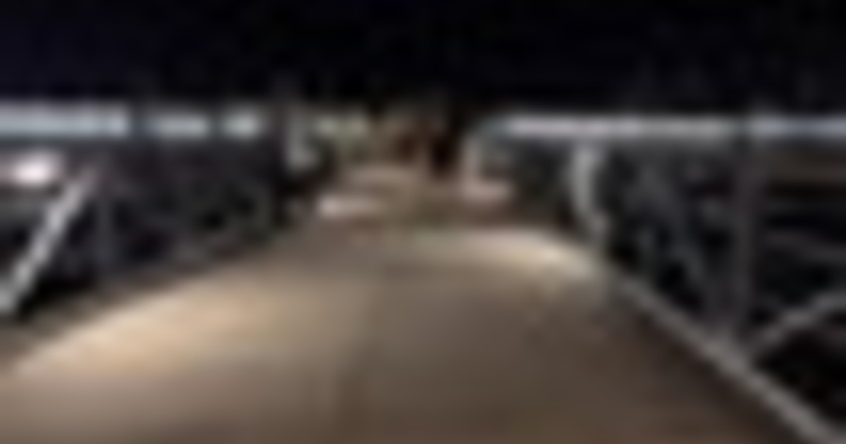 Benetke odprle začasni most za festival Odrešenika