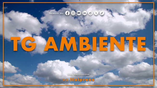 Tg Ambiente - 20/7/2025
