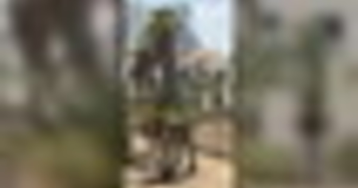 Gaza, le immagini del bombardamento israeliano vicino al centro Onu