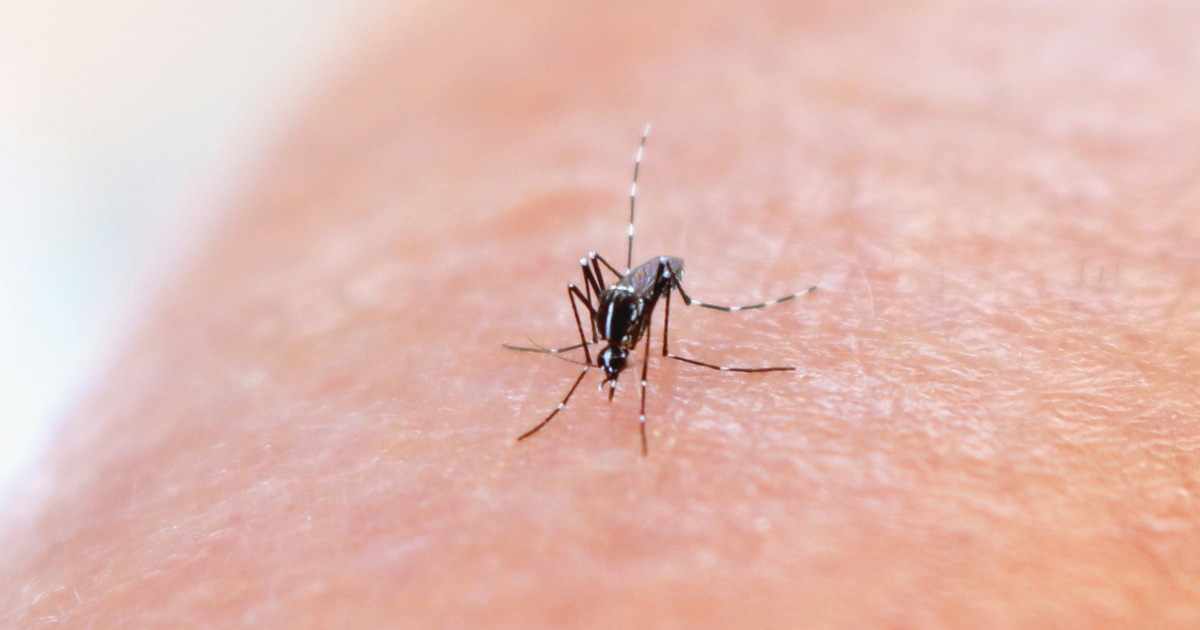 Nevidna grožnja virusa Zahodnega Nila: Velika večina primerov asimptomatskih