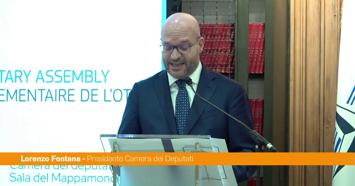 Nato, Fontana "La diplomazia parlamentare è una risorsa per la pace"