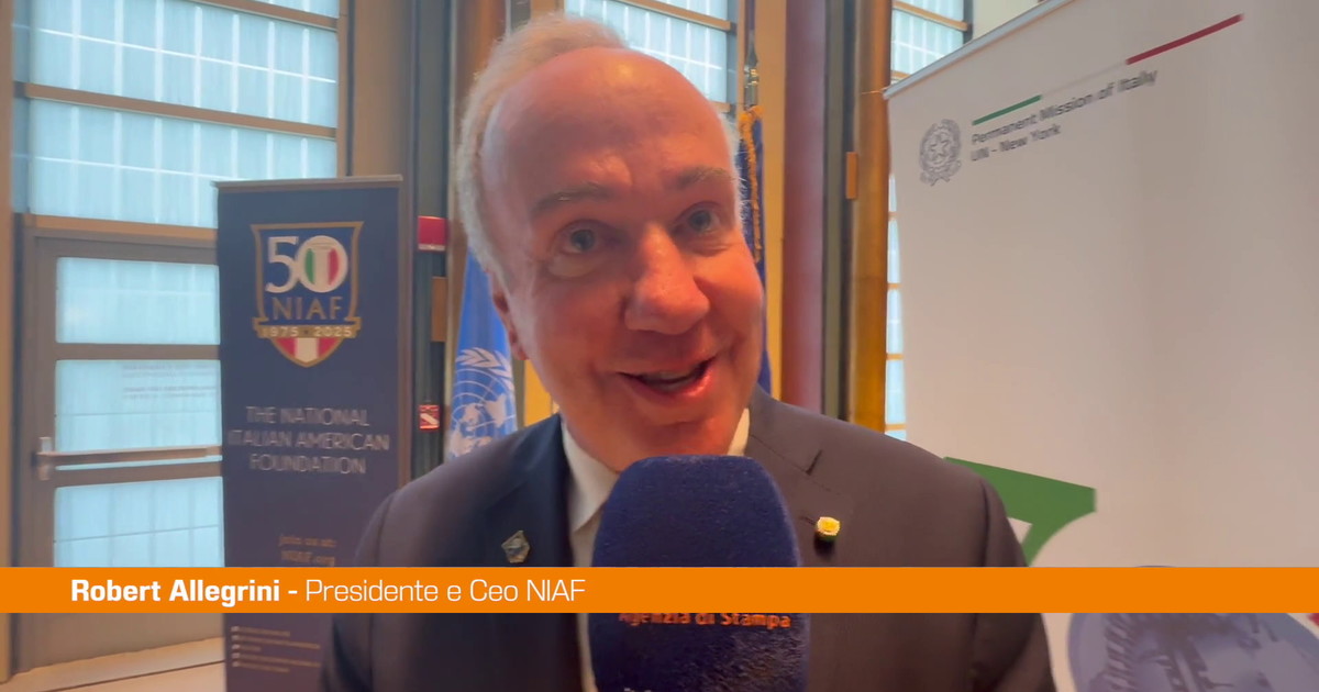 Allegrini: Leto 2025 bo pomembno za Niaf