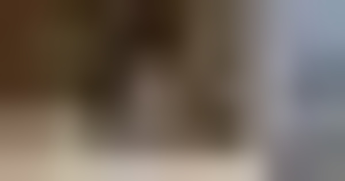 Un cucciolo di leopardo delle nevi è nato allo zoo di Chester