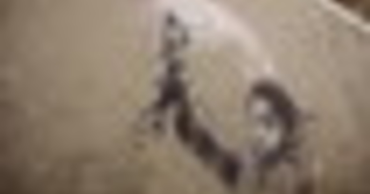 Venezia, completata messa in sicurezza del piccolo migrante di Banksy