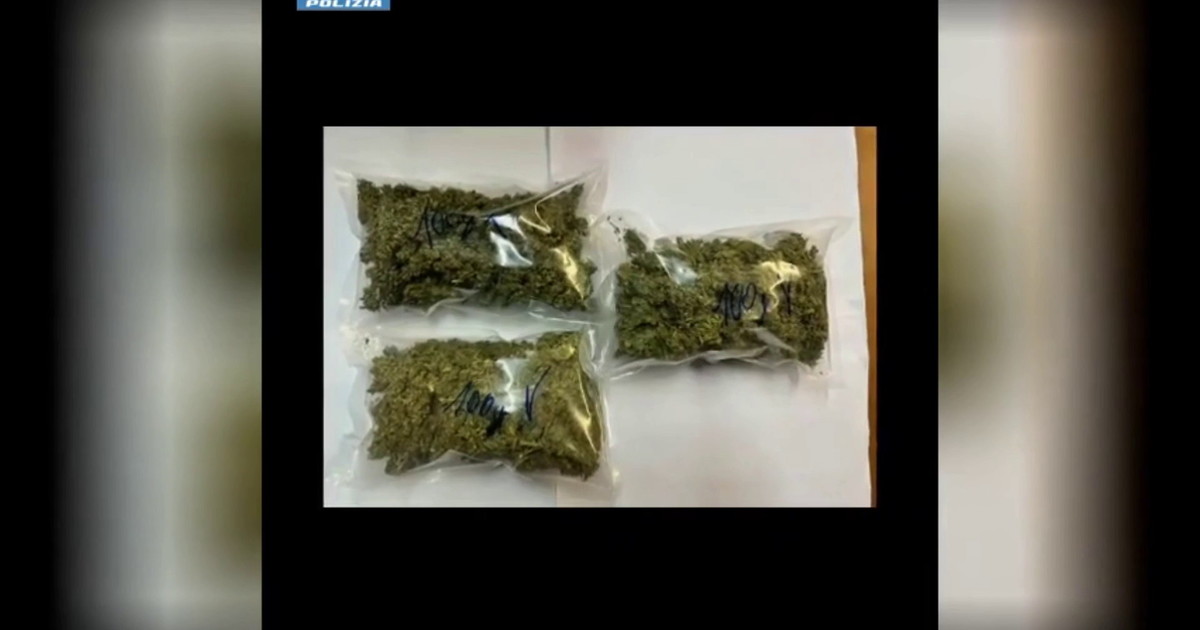 Blitz antidroga. Tra Abruzzo, Lazio e Puglia 12 misure cautelari