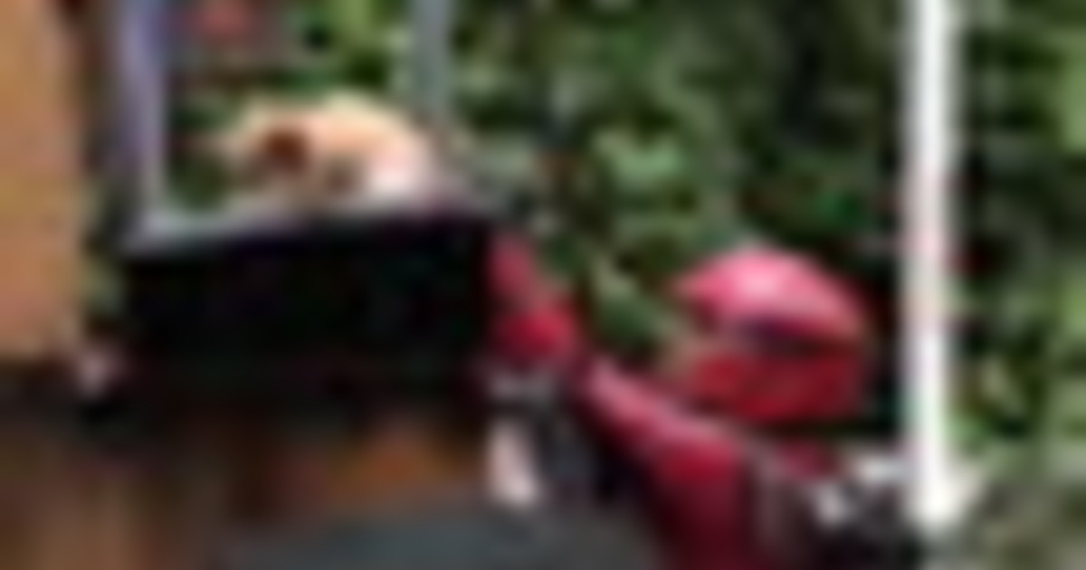 Nesreče zaradi poplav in zemeljskih plazov v Aziji in Evropi terjale žrtve.