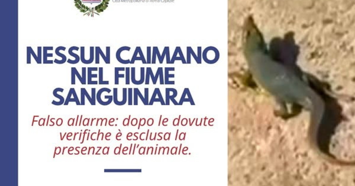 Il coccodrillo di Ladispoli? Solo uno scherzo. E ora scattano le denunce