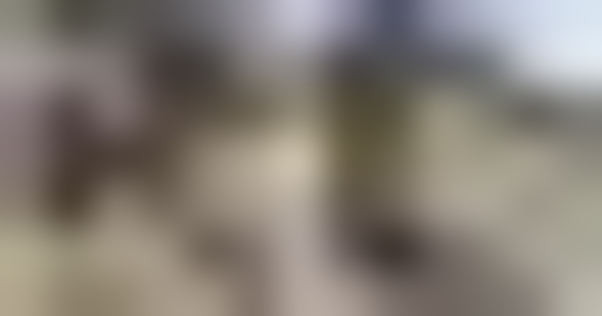 Ucraina, prigione distrutta da attacco nella regione di Zaporizhzhia