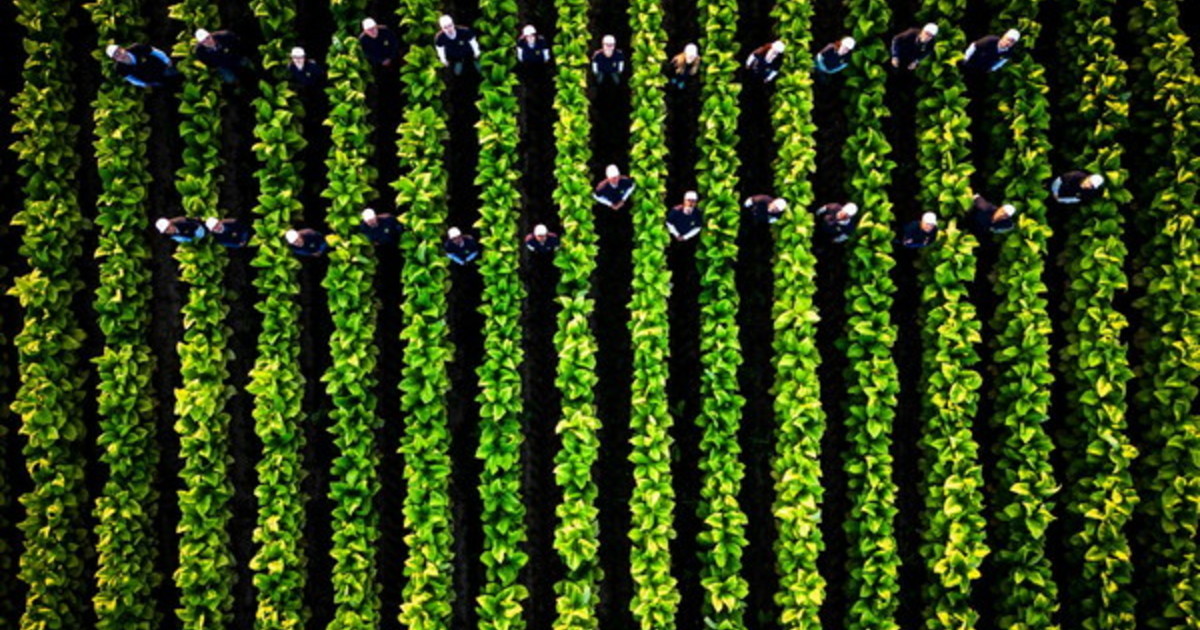 Coldiretti in Philip Morris predstavila drugo etapo dogovora v Perugii