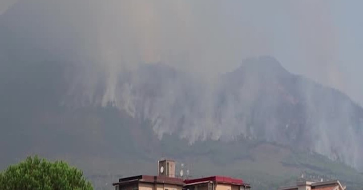 Maxi incendio sul Vesuvio, centinaia di ettari in fumo. De Luca chiede la mobilitazione nazionale Maxi incendio sul Vesuvio, centinaia di ettari in fumo. De Luca chiede la mobilitazione nazionale