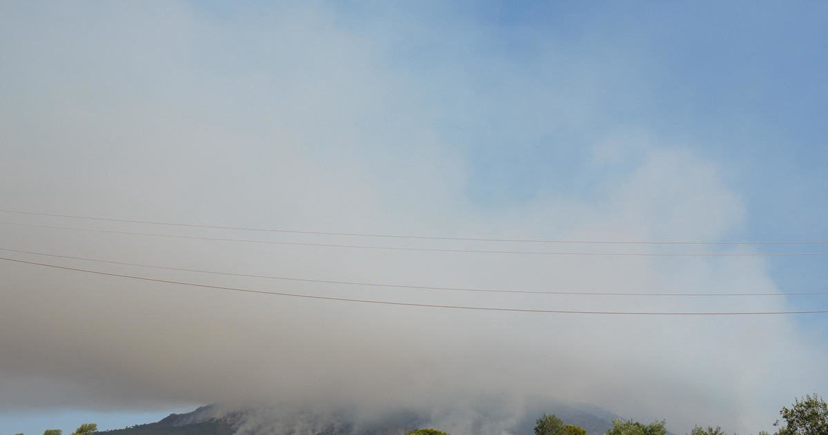 Brucia ancora il Parco Nazionale del Vesuvio: le fiamme non danno tregua Brucia ancora il Parco Nazionale del Vesuvio: le fiamme non danno tregua