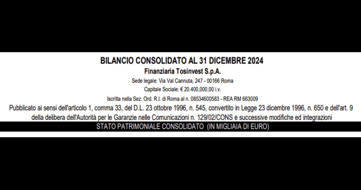 finanziaria tosinvest spa il bilancio 2024