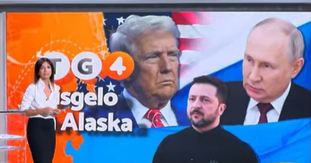 Trump Zelensky: Stefania Cavallaro è l