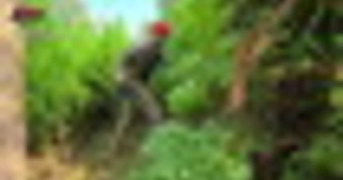 V Reggio Calabrii odkrili plantažo marihuane in ilegalno orožje