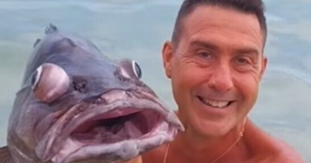 Vannacci al contrattacco: "Animalisti denunciatemi". E posta la foto della cernia al forno