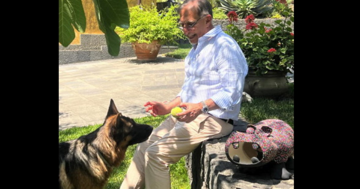 Giornata mondiale del cane: in Italia sono 8 milioni. I messaggi da La Russa a Brambilla e Salvini