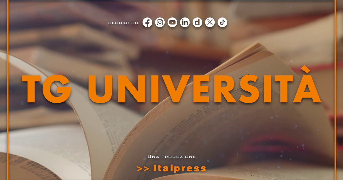 Tg Università - 26/8/2025