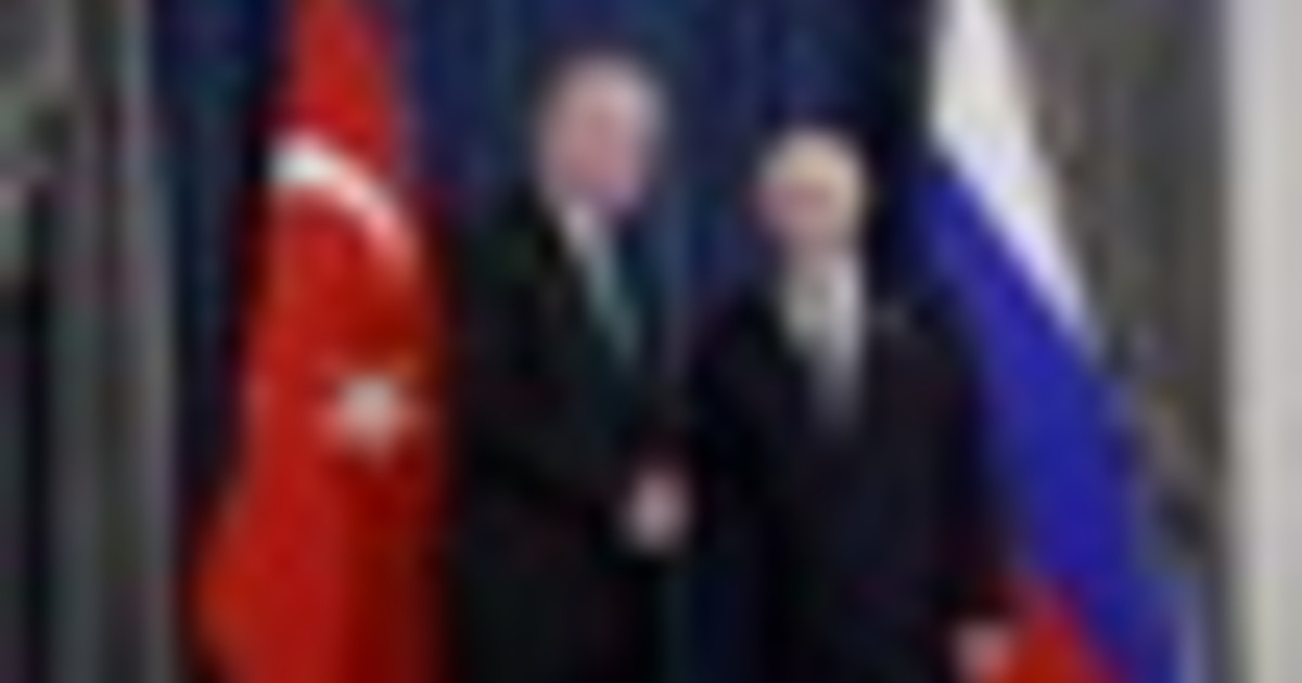 Putin vede Erdogan e lo ringrazia "per sforzi sulla crisi in Ucraina"